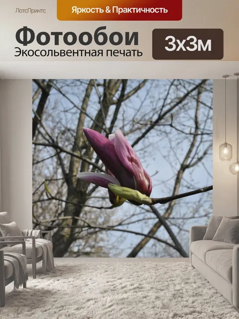 Фотообои Красный магнолия