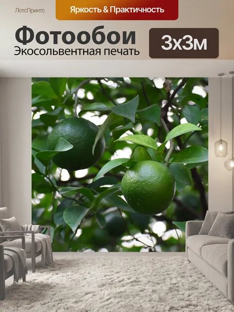 Фотообои Дерево