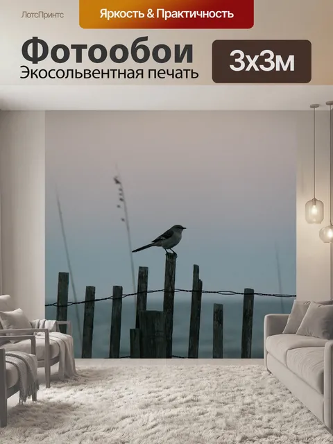 Фотообои Береговая линия