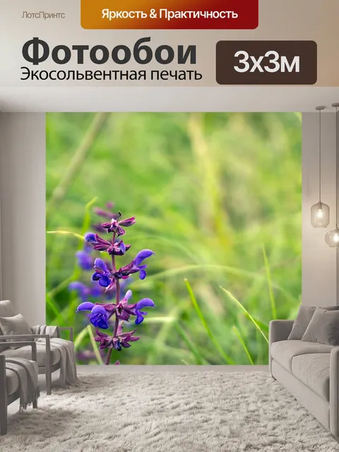 Фотообои Дикая орхидея
