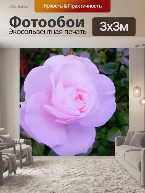 Фотообои Нежность