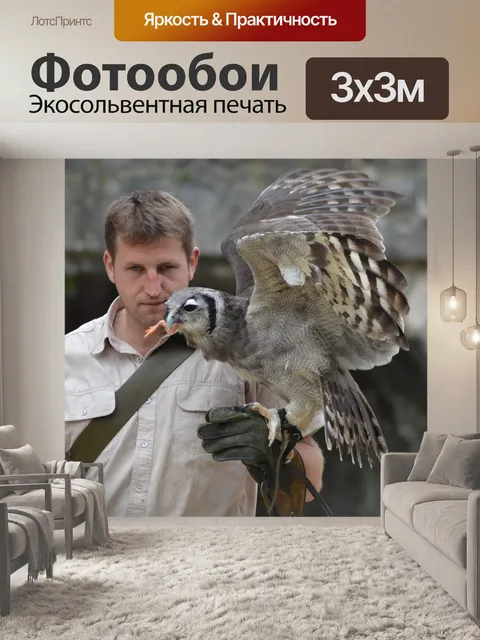 Фотообои Птица