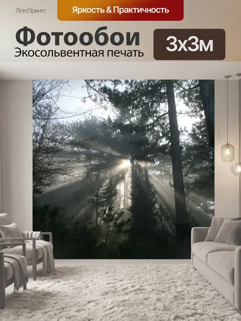 Фотообои Туман