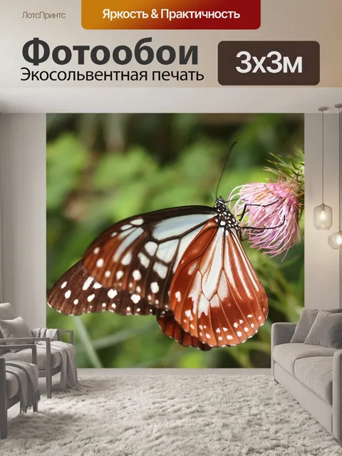 Фотообои Бабочка