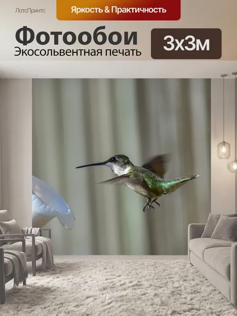 Фотообои Птица