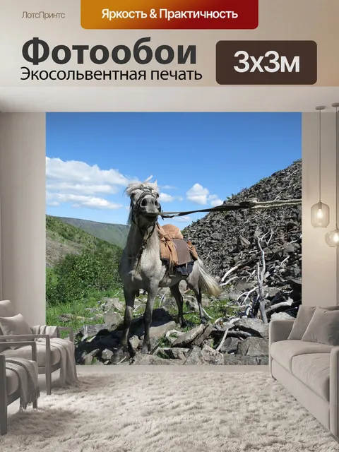 Фотообои Конный поход