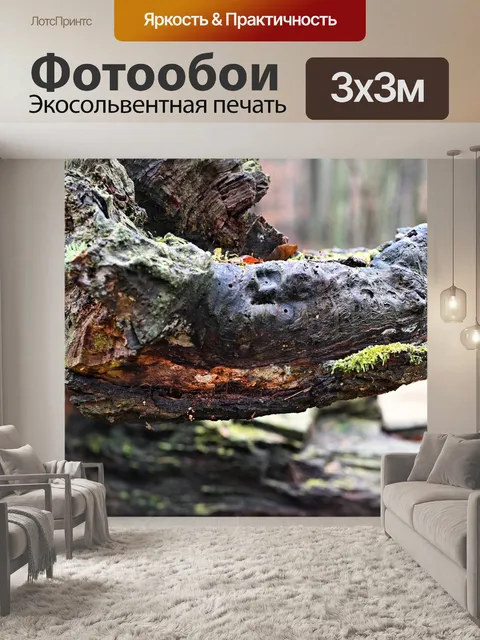 Фотообои Дерево