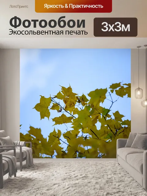 Фотообои Осенние листья