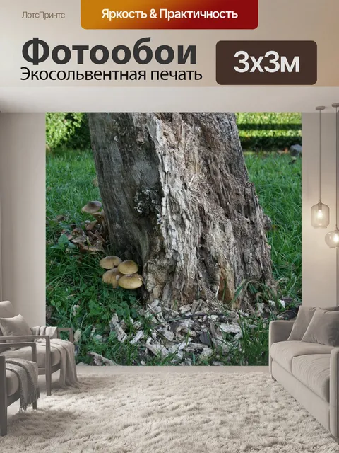 Фотообои Ствол дерева