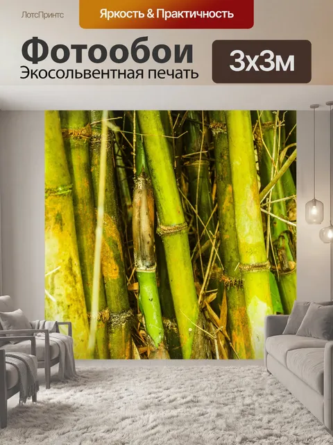 Фотообои Бамбуковый лес природа фон
