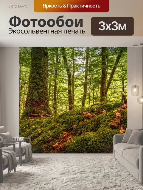 Фотообои Лес