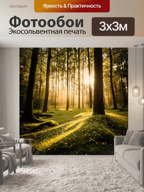 Фотообои утренние лучи солнца проникают сквозь густые деревья леса