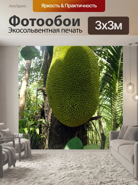 Фотообои Джек фруктов