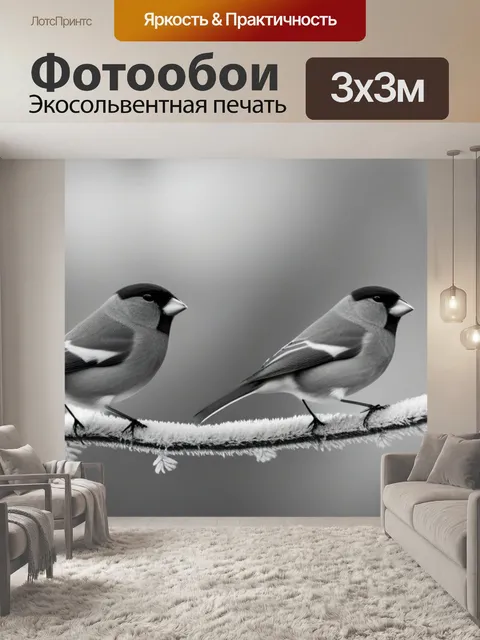 Фотообои пейзаж с снегирями чернобелый