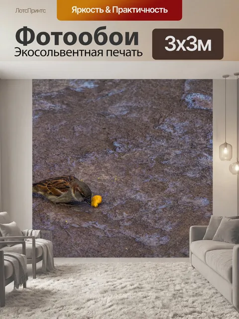 Фотообои Воробей