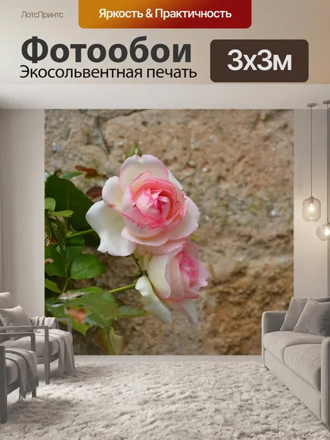 Фотообои Розы