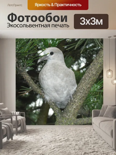 Фотообои Птицы