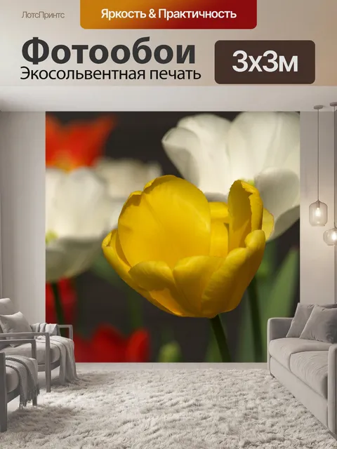 Фотообои Цветок