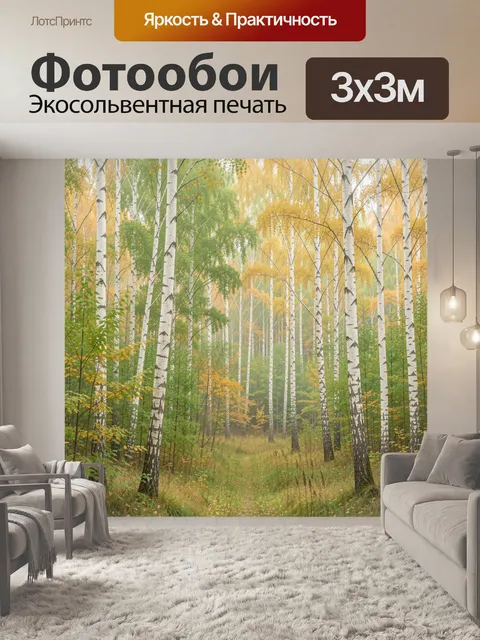 Фотообои Берёзовая роща в осеннем тумане