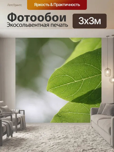 Фотообои Лист