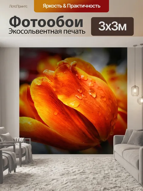 Фотообои Тюльпан