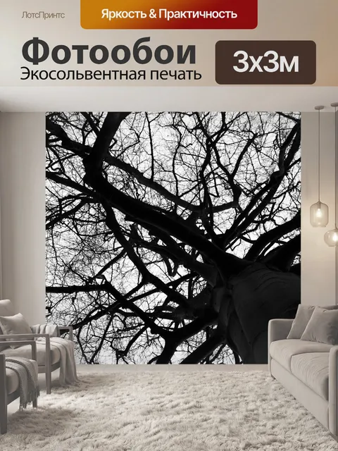 Фотообои Деревья без листьев