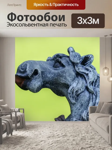 Фотообои Лошадь