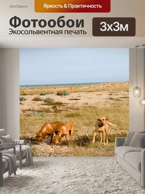 Фотообои Охотничьи собаки