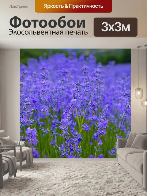 Фотообои Лаванда