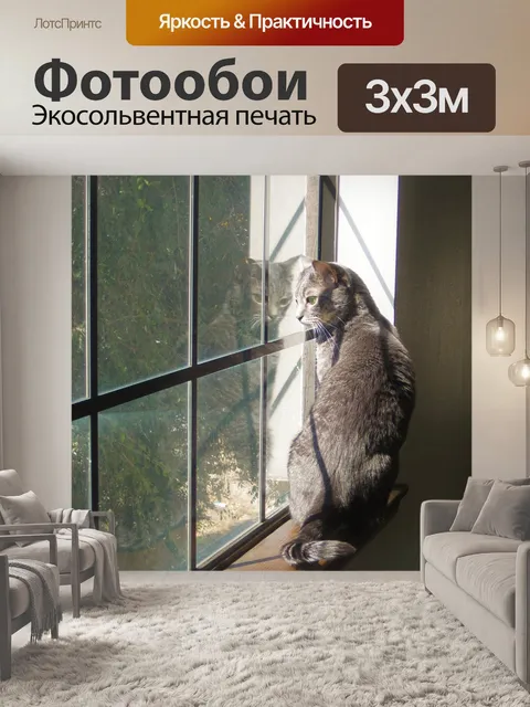 Фотообои Кошка