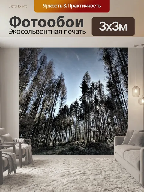 Фотообои Сосна