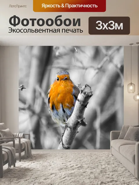 Фотообои Робин, Erithacus rubecula