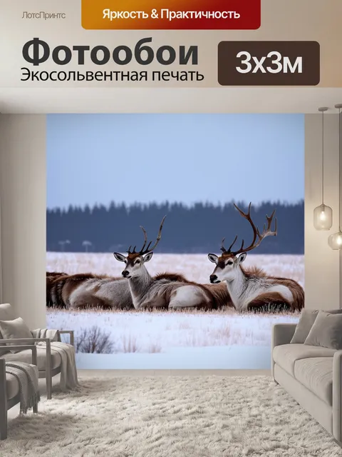 Фотообои россия тундра, семейная стая оленей, покоящихся под полярным сиянием, крики зимних птиц раздаются по всей…
