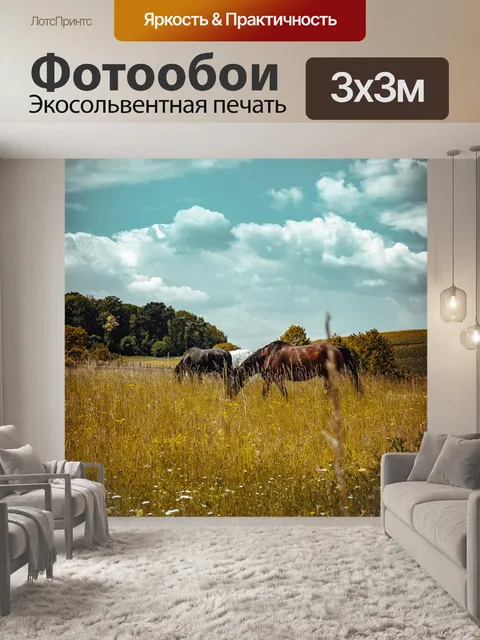 Фотообои Лошадь