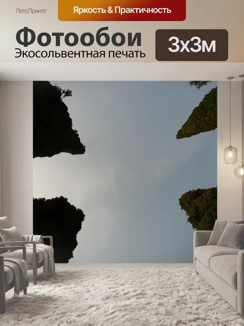 Фотообои Кипарис