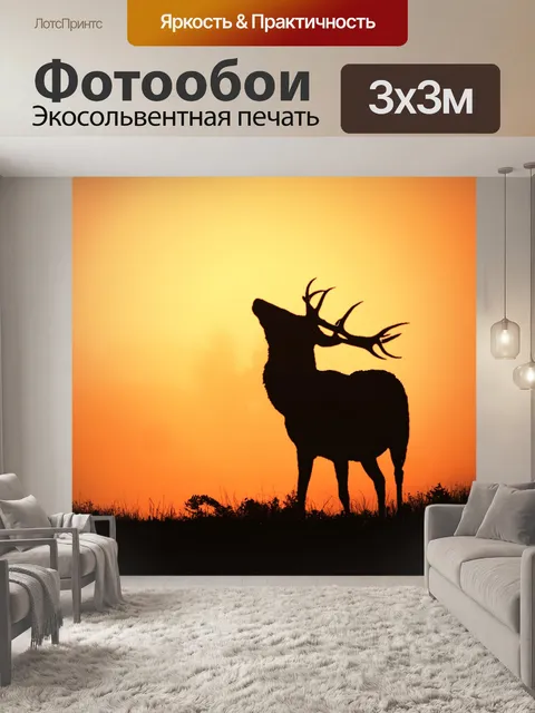 Фотообои Олень закат фон