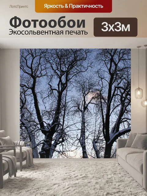 Фотообои Лес