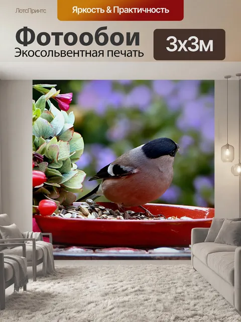 Фотообои Животное