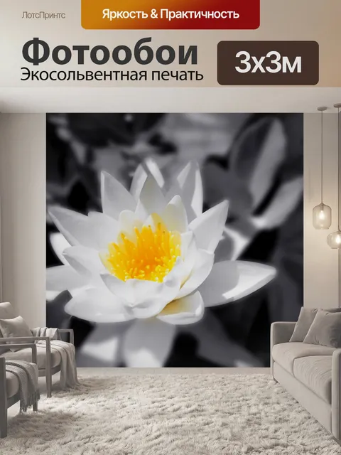 Фотообои Цветок