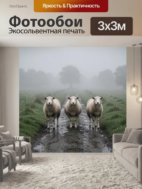 300 × 300 см · Экосольвентная печать