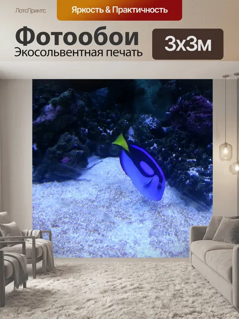 Фотообои Рыба