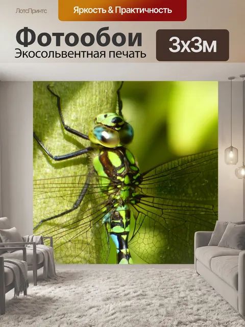 Фотообои Стрекоза на ветке