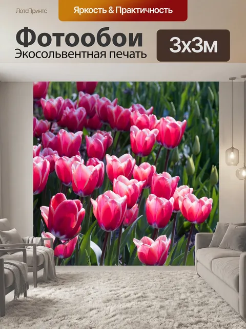 Фотообои Розовый