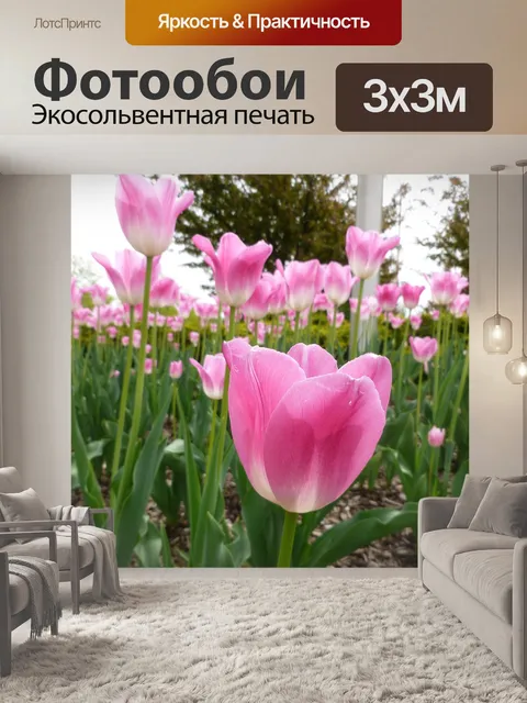 Фотообои Тюльпаны