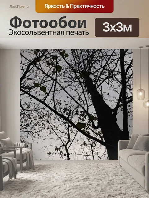 Фотообои Силуэт
