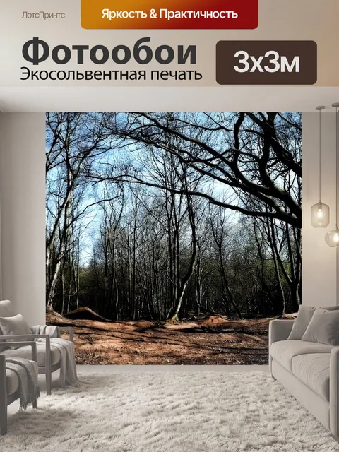 Фотообои Лесной