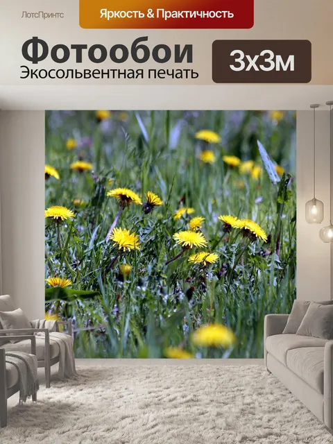 Фотообои Одуванчики