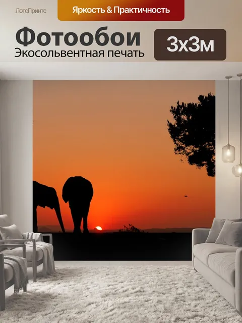 Фотообои Заход солнца