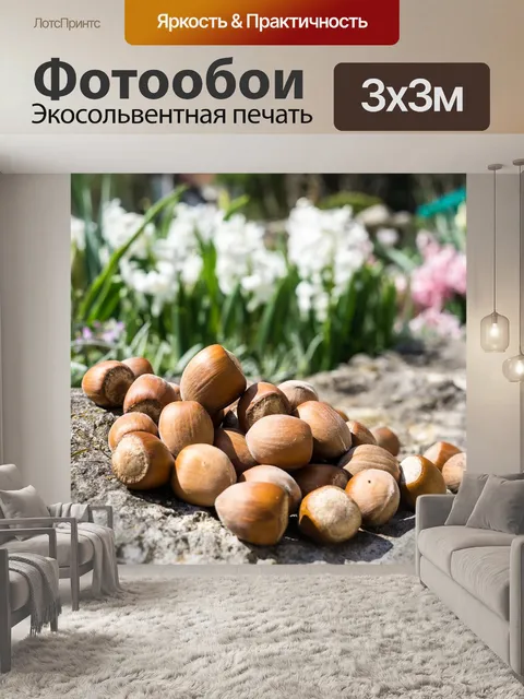 Фотообои Фундук
