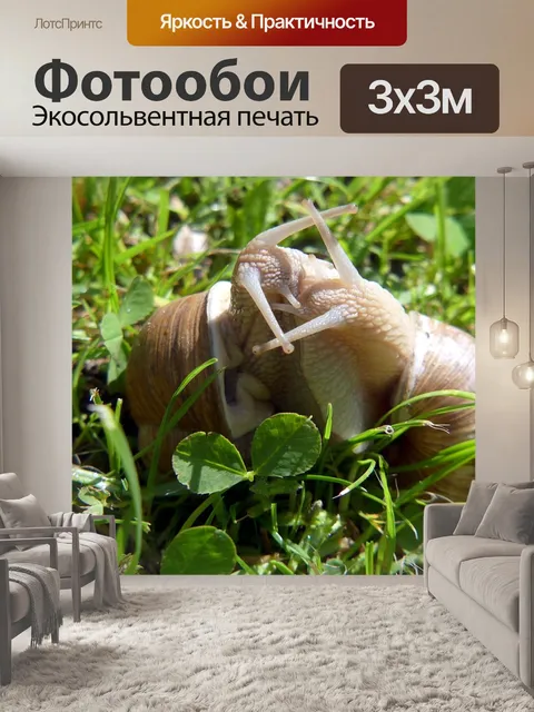 Фотообои Сад